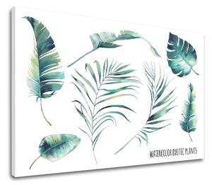 Obraz na stenu s textom Watercolor exotic plants - 20x30 cm