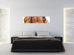 Moderný obraz - pes so slúchadlami (Obraz 160x40cm)