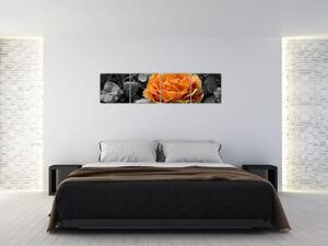 Oranžový kvet na čiernobielom pozadí - obraz (Obraz 160x40cm)