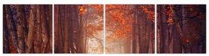 Jesenné les - obraz (Obraz 160x40cm)