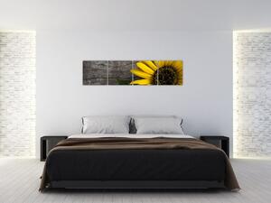 Obraz slnečnice na stole (Obraz 160x40cm)