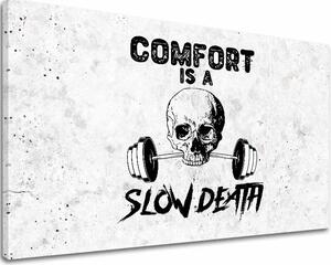Obraz na plátne Comfort Is a Slow Death - Gym Motivácia - 60x90 cm