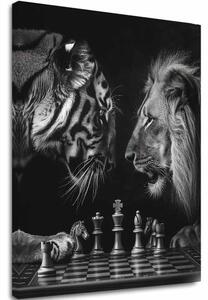 Obraz na plátne Lev a Tiger - Šachová Stratégia - 80x100 cm
