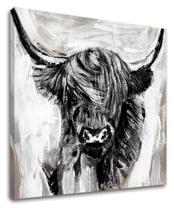 Obraz na plátne BÝK 001 60x60 cm
