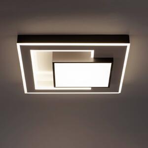Paul Neuhaus Q-Alta stropné LED svietidlo 55x55 cm