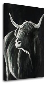 Obraz na plátne BÝK 002 - 40x60 cm