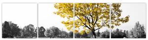 Obraz žltého stromu v prírode (Obraz 160x40cm)