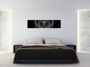 Obraz - lev v tme (Obraz 160x40cm)