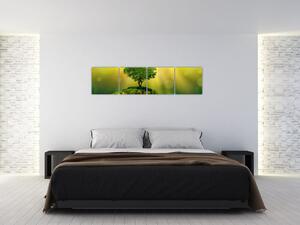 Moderný obraz - príroda (Obraz 160x40cm)