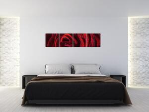 Obraz červené ruže (Obraz 160x40cm)