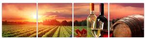 Obraz - víno a vinice pri západe slnka (Obraz 160x40cm)
