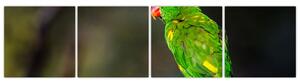 Obraz zeleného papagája (Obraz 160x40cm)