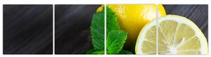 Obraz citrónu na stole (Obraz 160x40cm)