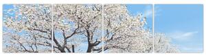 Obraz kvitnúceho stromu na jarné lúke (Obraz 160x40cm)