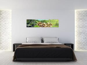 Obraz jazera na Seychelách (Obraz 160x40cm)