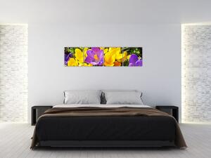 Obraz kvety (Obraz 160x40cm)