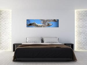 Obraz do bytu - vtáky (Obraz 160x40cm)