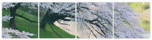Obraz kvitnúcich stromov (Obraz 160x40cm)