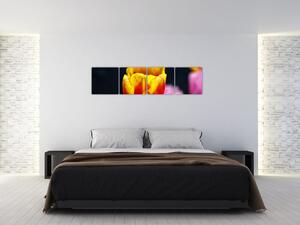 Obraz tulipánu (Obraz 160x40cm)