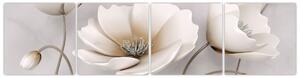 Obraz bieleho kvetu (Obraz 160x40cm)