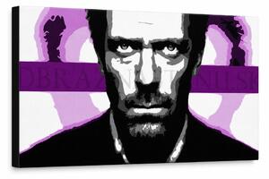 Ručne maľovaný POP Art obraz Dr. HOUSE 1010 - 80x40 cm