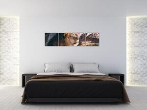 Obraz - ležiaci lev (Obraz 160x40cm)