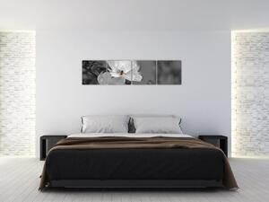 Čiernobiely obraz (Obraz 160x40cm)