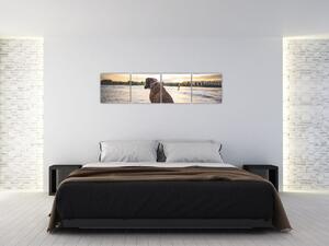 Obraz - sediaci pes (Obraz 160x40cm)