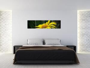 Obraz žltého kvetu (Obraz 160x40cm)