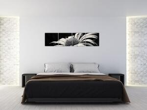 Čiernobiely obraz kvetu (Obraz 160x40cm)