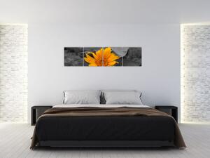 Obraz oranžového kvetu (Obraz 160x40cm)