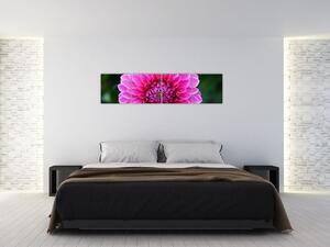 Obraz ružového kvetu (Obraz 160x40cm)