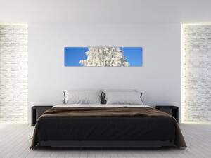 Zasnežený strom - obraz (Obraz 160x40cm)