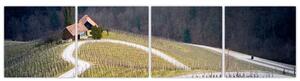 Cesta vo vinici v tvare srdca (Obraz 160x40cm)