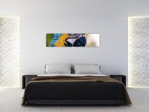 Obraz - papagáj (Obraz 160x40cm)