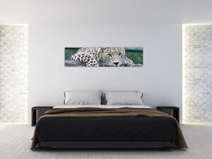 Obraz leopard (Obraz 160x40cm)