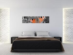 Oranžový motýľ - obraz (Obraz 160x40cm)