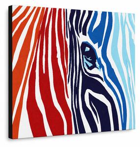 Ručne maľovaný POP Art obraz COLOURS zebra - 100x70 cm