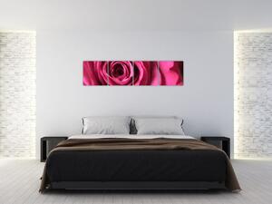 Obraz ružové ruže (Obraz 160x40cm)