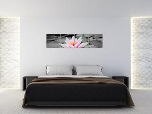 Obraz kvitnúceho lekna (Obraz 160x40cm)