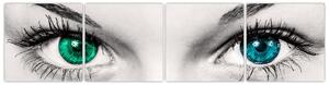 Obraz - detail zelených očí (Obraz 160x40cm)