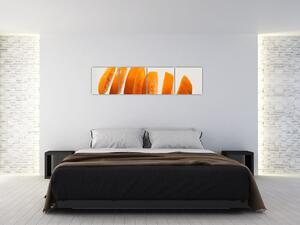 Moderný obraz - dieliky pomaranča (Obraz 160x40cm)