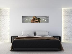 Obraz - kačice vo vode (Obraz 160x40cm)