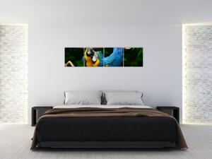 Obraz papagájov na lane (Obraz 160x40cm)