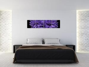 Obraz fialových kvetov (Obraz 160x40cm)