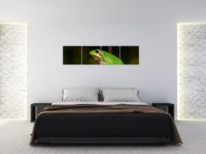Obraz žaby (Obraz 160x40cm)