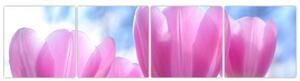 Obraz ružových tulipánov (Obraz 160x40cm)