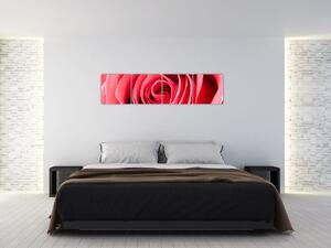 Obraz červené ruže (Obraz 160x40cm)