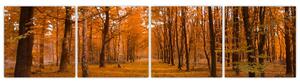 Obraz lesné cesty (Obraz 160x40cm)