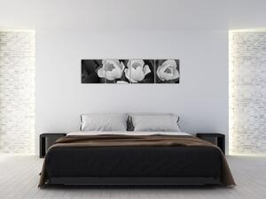 Čiernobiele kvety (Obraz 160x40cm)